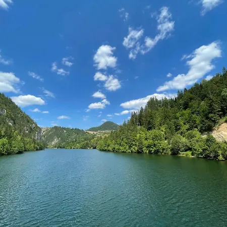 Mandica Avlija 펜션 Zaovine