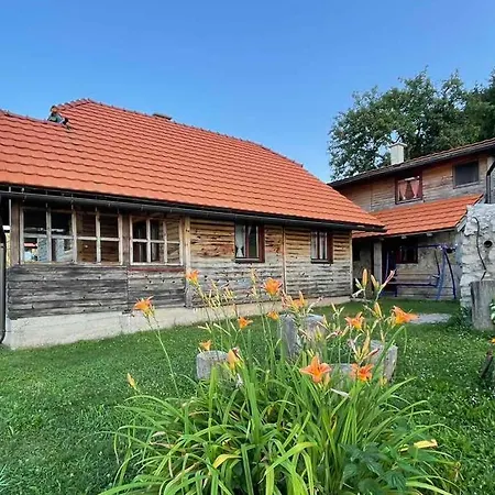 בית נופש Mandica Avlija *