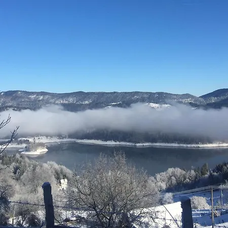 Mandica Avlija * Zaovine