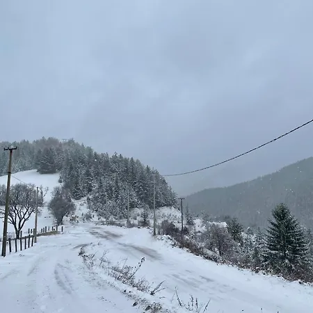 Mandica Avlija בית נופש *