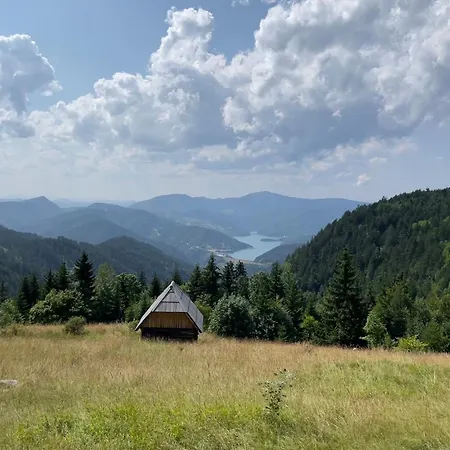 Mandica Avlija * Zaovine