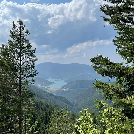 Mandica Avlija * Zaovine