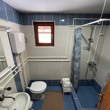 펜션 Mandica Avlija *