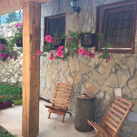 Mandica Avlija * Zaovine